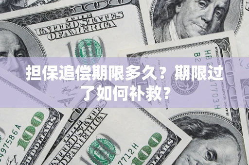 济南担保追偿期限多久？期限过了如何补救？