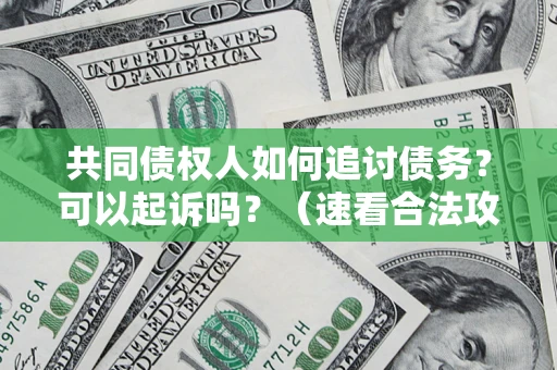 济南共同债权人如何追讨债务？可以起诉吗？（速看合法攻略）