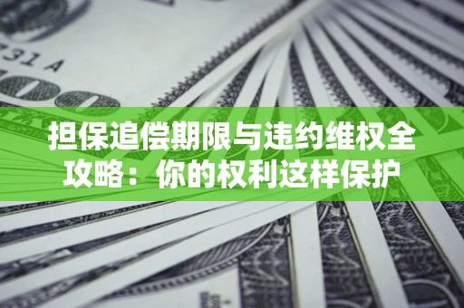 济南担保追偿期限与违约维权全攻略：你的权利这样保护